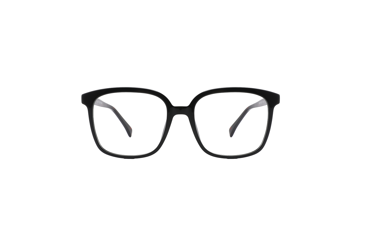 LUNA TURTLE CHESTNUT